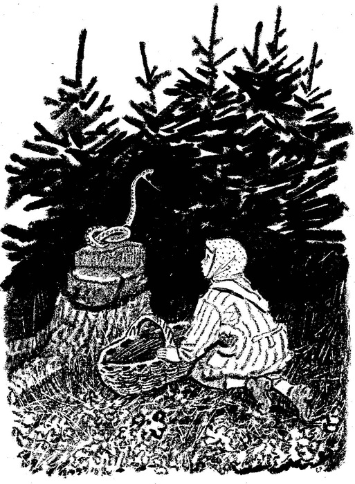 Кладовая солнца иллюстрации