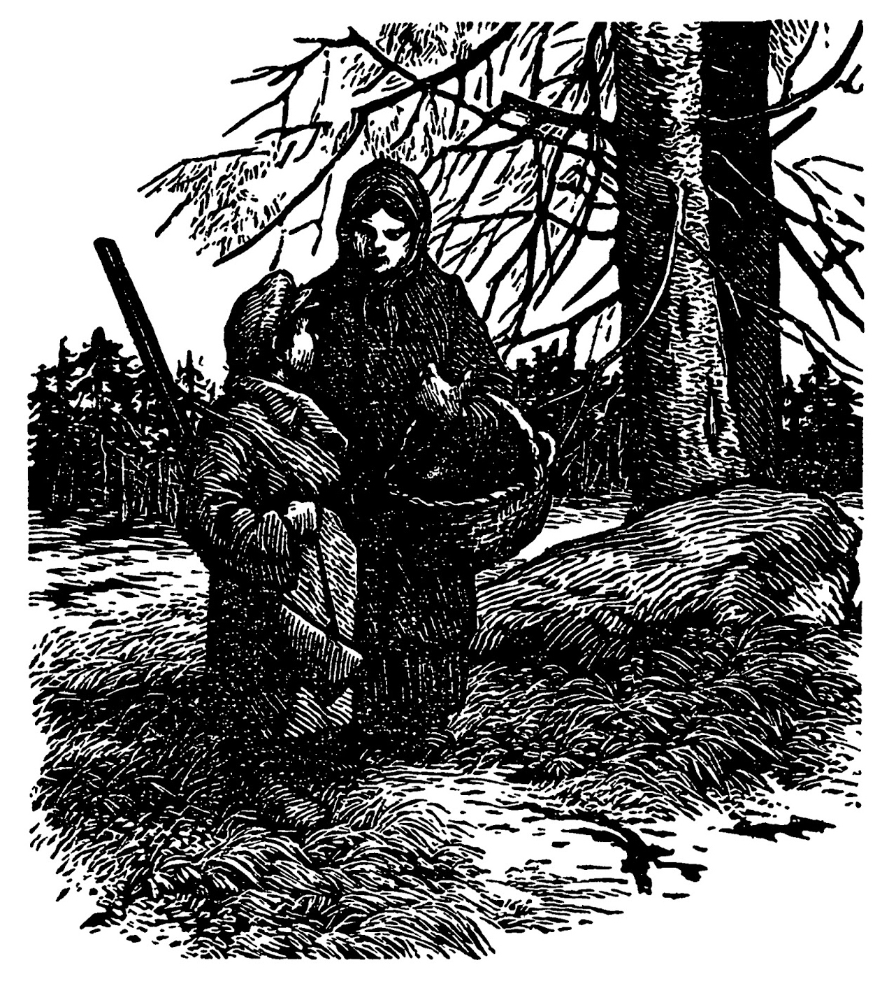 Кладовая солнца иллюстрации