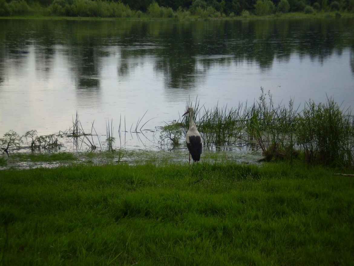 Средняя Припять